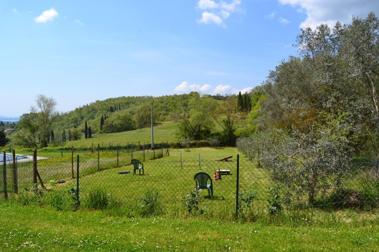 Capolona B And B Piccolo Ulivo Ranch المظهر الخارجي الصورة