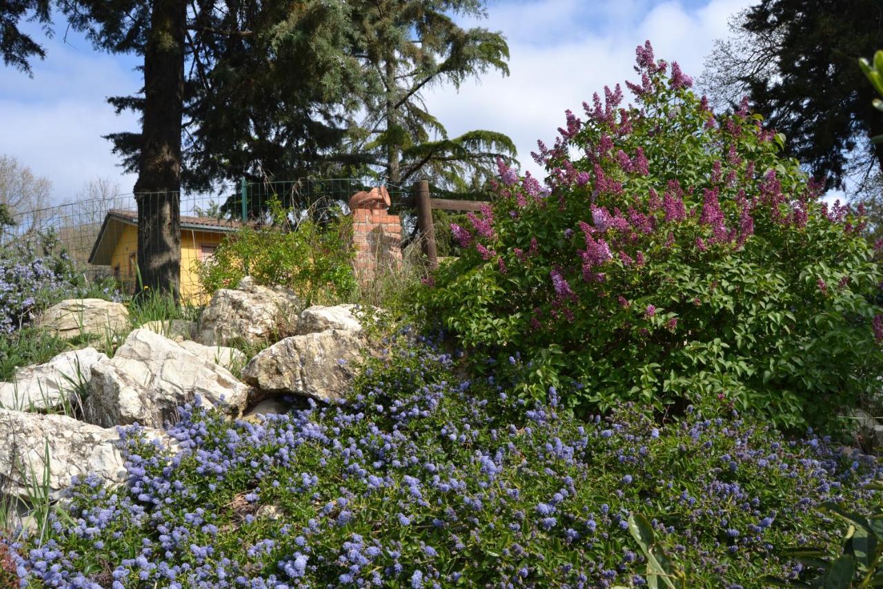 Capolona B And B Piccolo Ulivo Ranch المظهر الخارجي الصورة